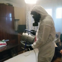 Дезинфекция от клопов в Березовском