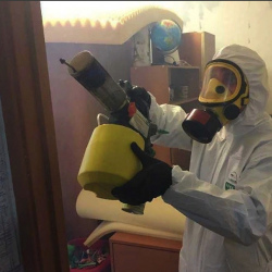 Уничтожение клопов в квартире. Березовский
